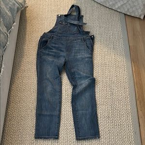 Free People original ziggy overalls